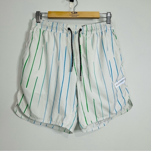 Legends Gray Striped Athletic Luka Lined Shorts Medium - Picture 1 of 7